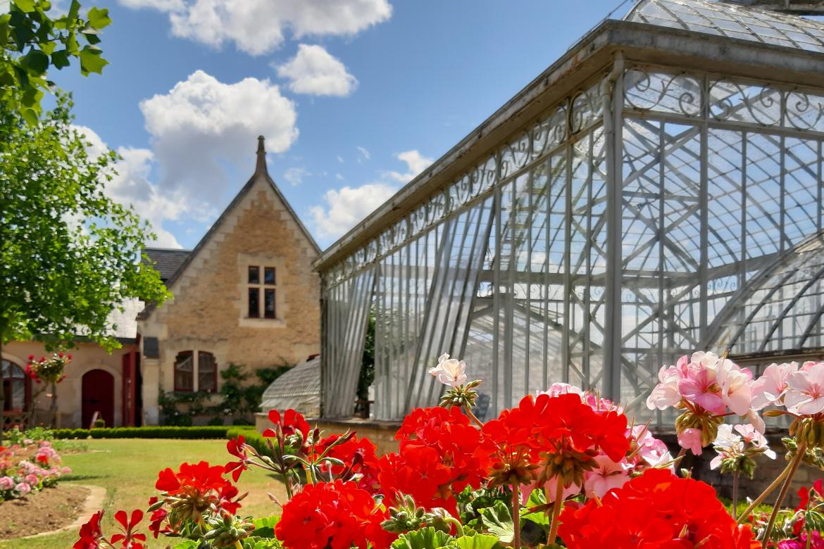 Jardin potager