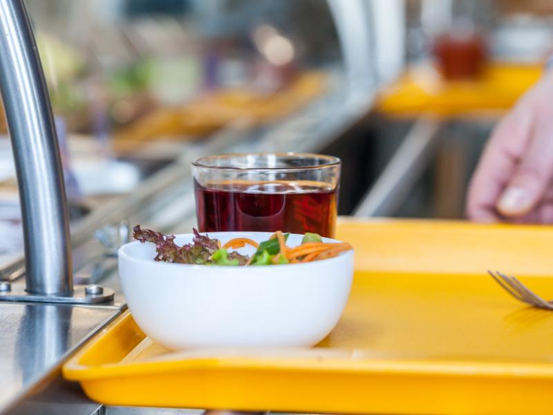Cantine scolaire : du nouveau pour les menus