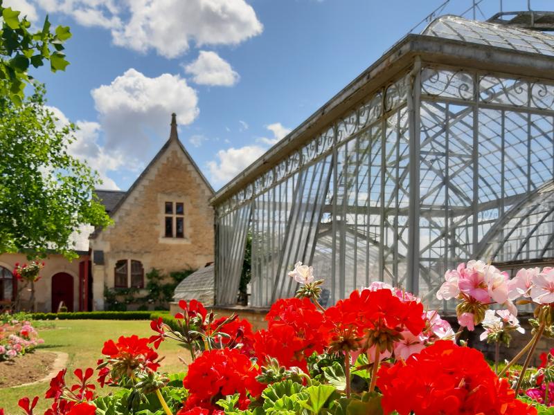 Jardin potager