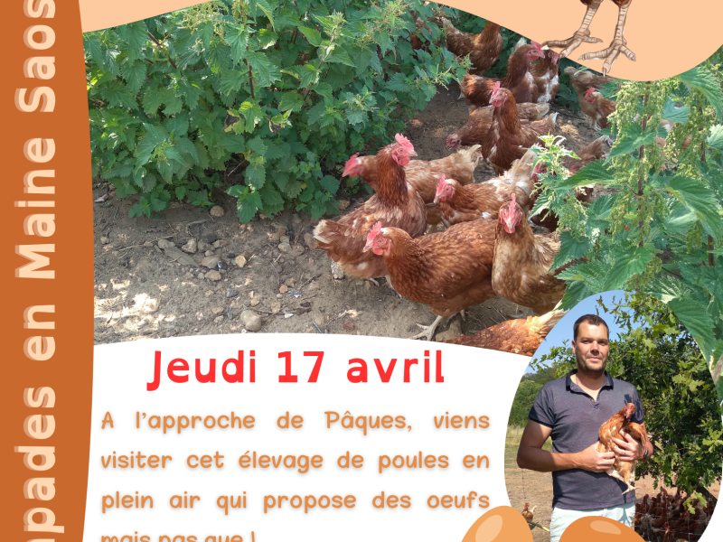 Jeudi 17 avril, l'office de tourisme Maine Saosnois propose la visite gratuite d'une ferme à 14h30
