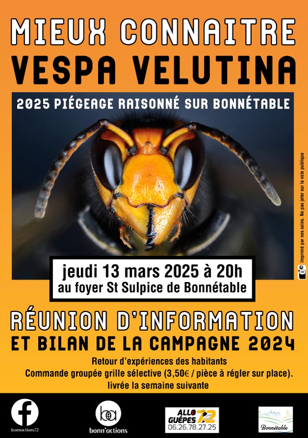 Jeudi 13 mars : réunion d'information à propos du frelon asiatique, à 20h00 dans la salle St Sulpice