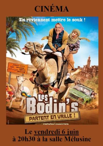 Bodins
